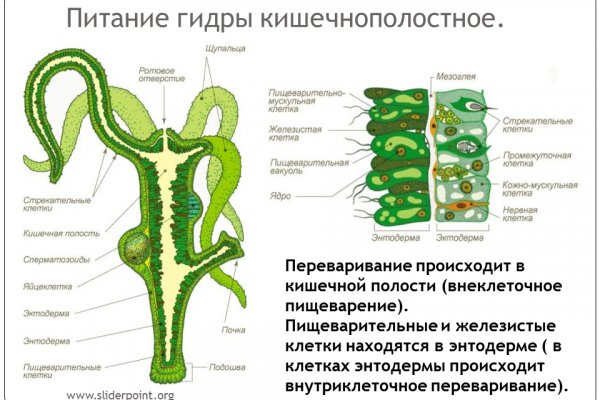 Кракен площадка даркнет
